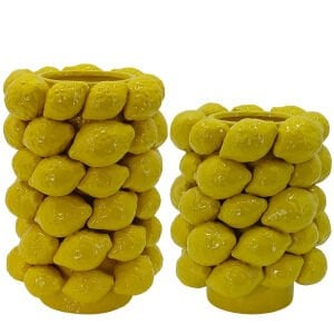 2li Set Limon Vazo 20x32cm
