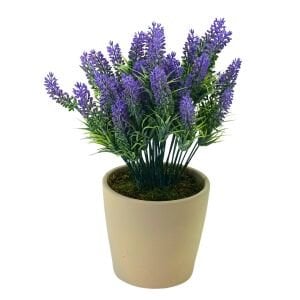 Saksılı Lavanta 23x32cm