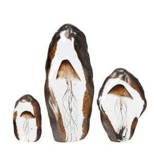 Deniz Anası Cam Fosil 14x28cm