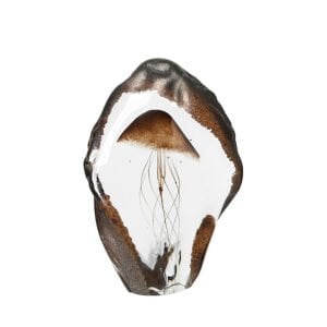 Deniz Anası Cam Fosil 13x20cm