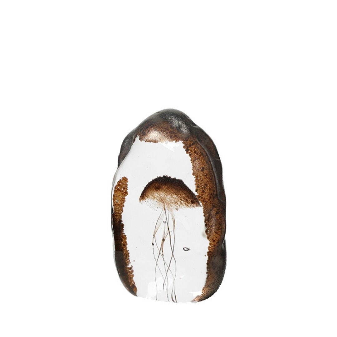 Deniz Anası Cam Fosil 8x12cm