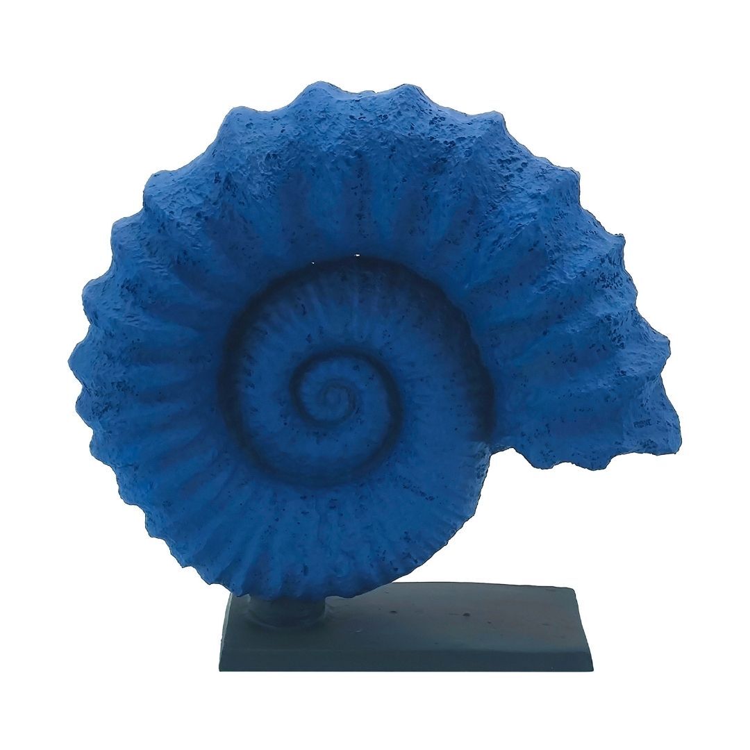 Lacivert Salyangoz Biblo 28x30cm