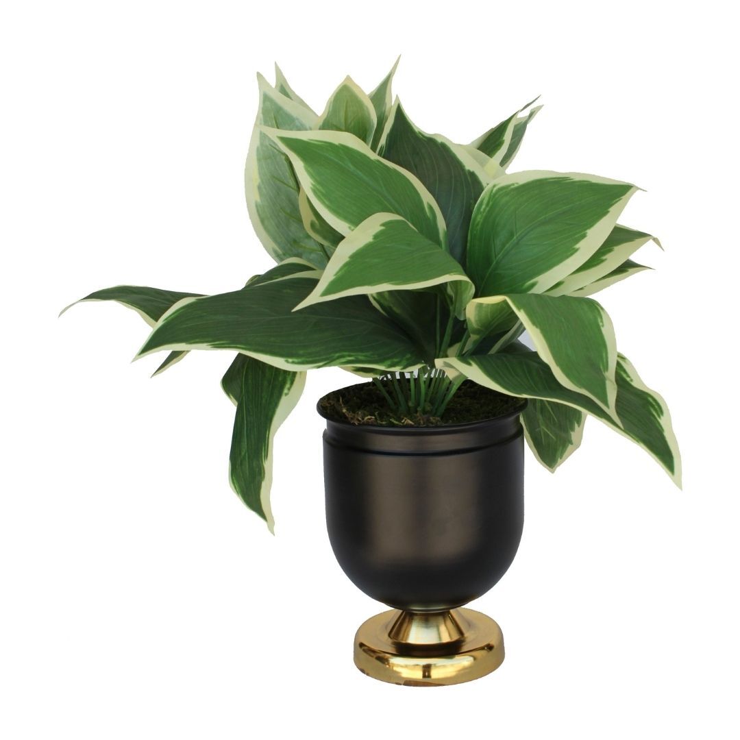 Metal Saksıda Bitki 46x46cm