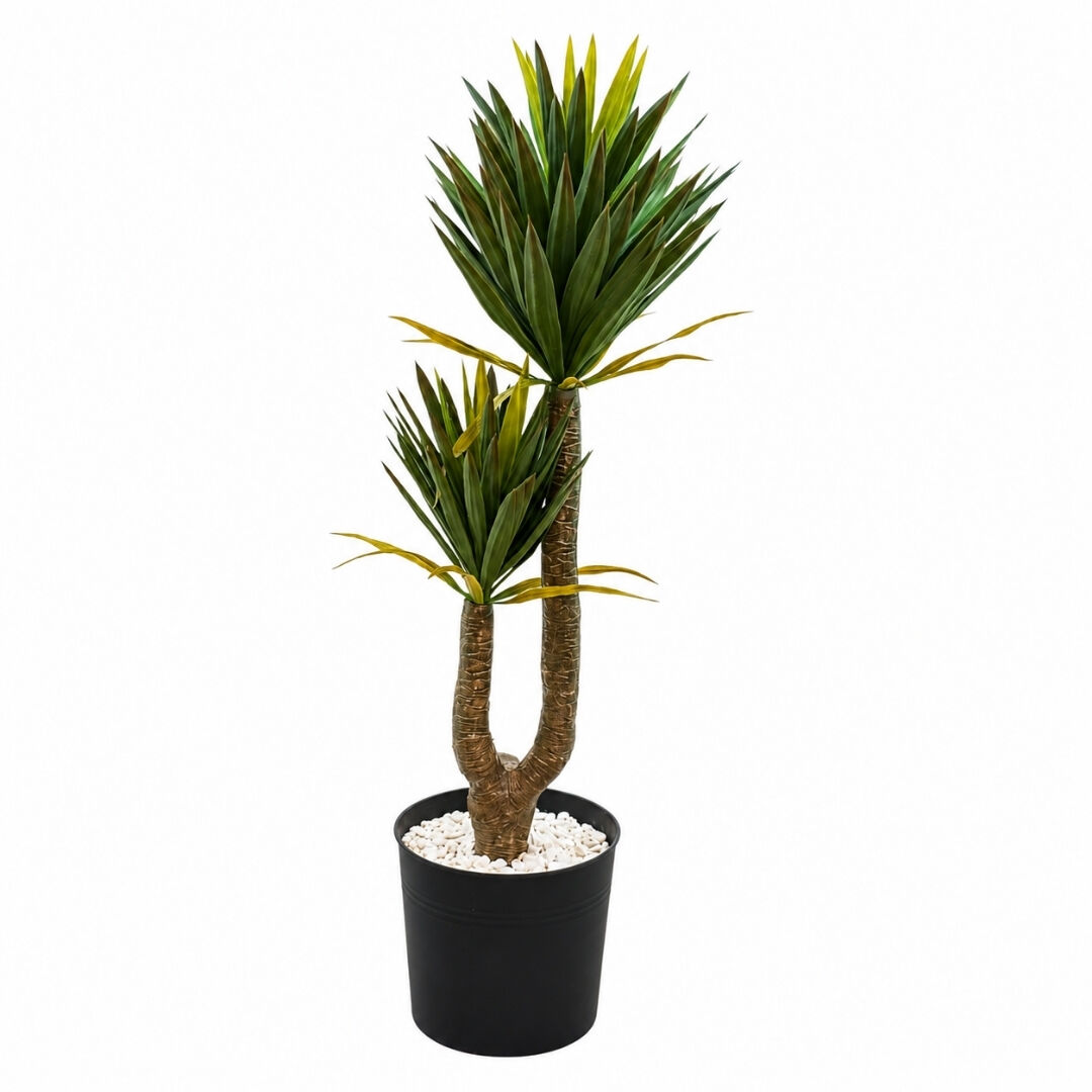 2li Yucca Ağaç 37x160cm