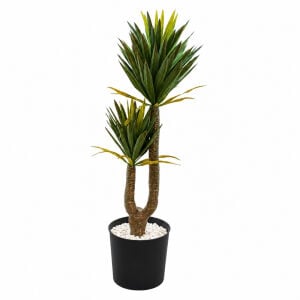 2li Yucca Ağaç 37x160cm
