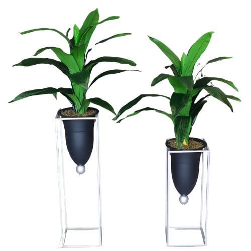 2 li Set Bitkili Saksı Gümüş 75x140cm