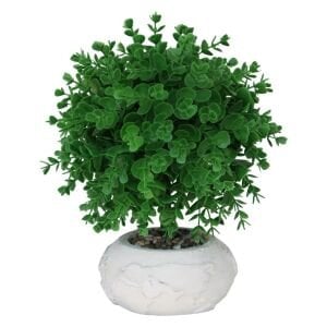 Saksıda Okaliptüs 25x28cm