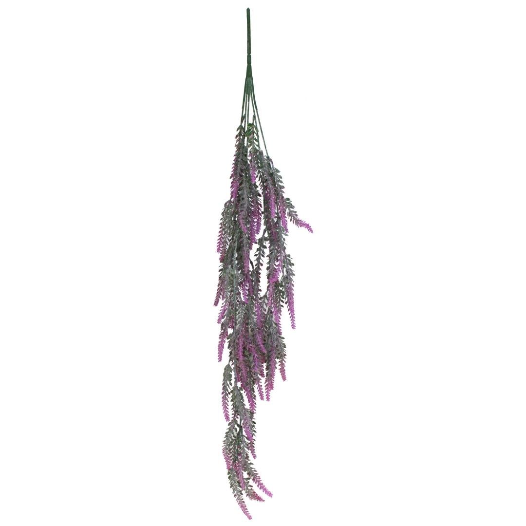 Sarkan Lavanta Sarmaşık 12x75cm