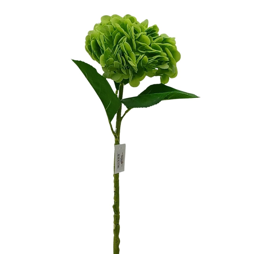 Ortanca Çiçek Yeşil 50cm