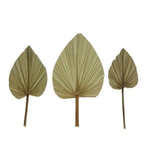 3lü Set Bohem Yapraklar