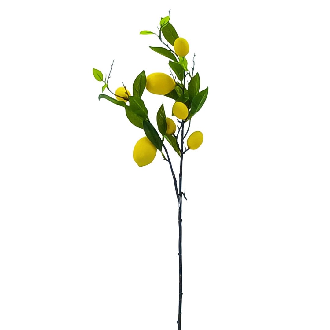Limon Dalı 80cm