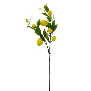 Limon Dalı 80cm