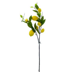 Limon Dalı 80cm