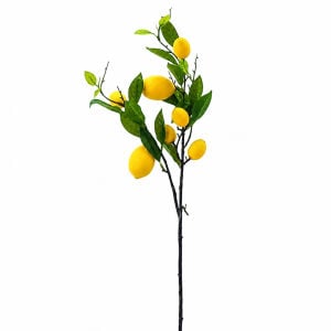 Limon Dalı 80cm