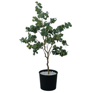 Benjamin Ağaç 90x170cm