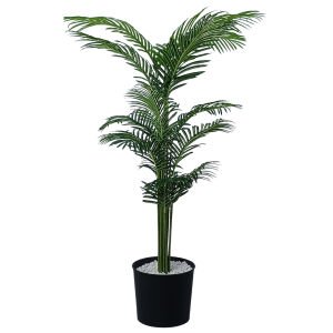 Areka Palmiye Ağaç 100x180cm