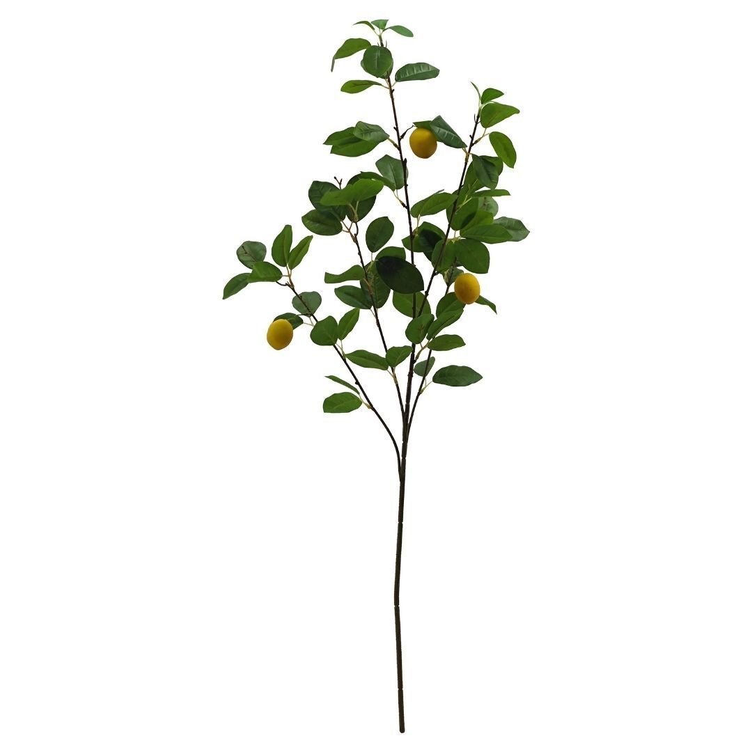 Limon Dalı 30x100cm