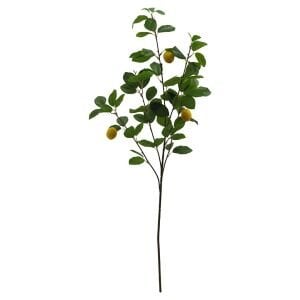 Limon Dalı 30x100cm