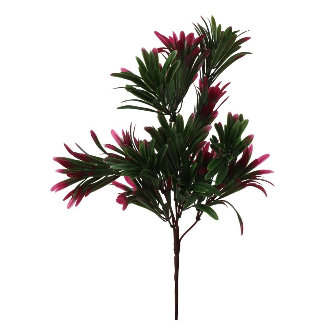 Şeflera Kırmızı Demet 20x32cm