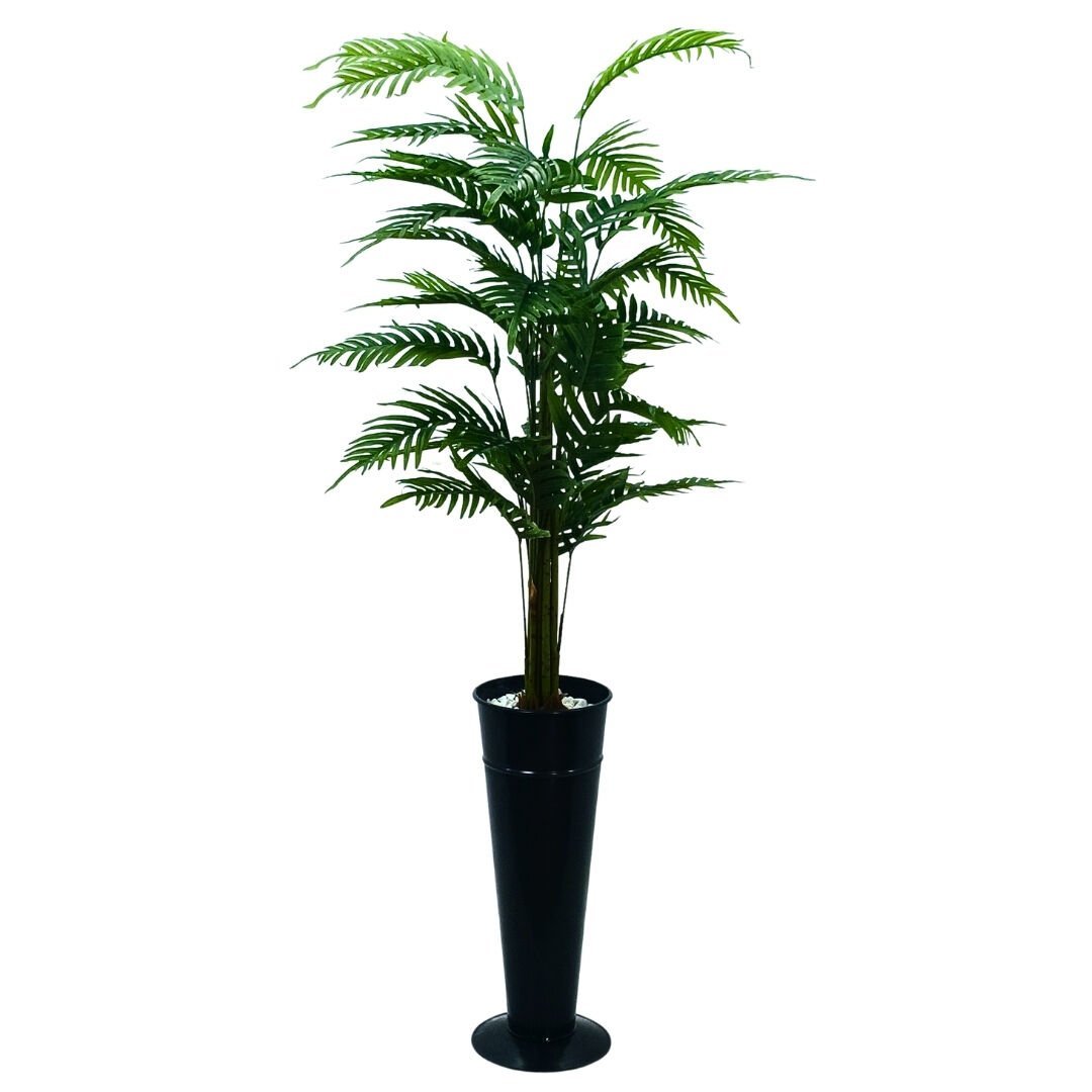 Areka Ağaç 80x160cm