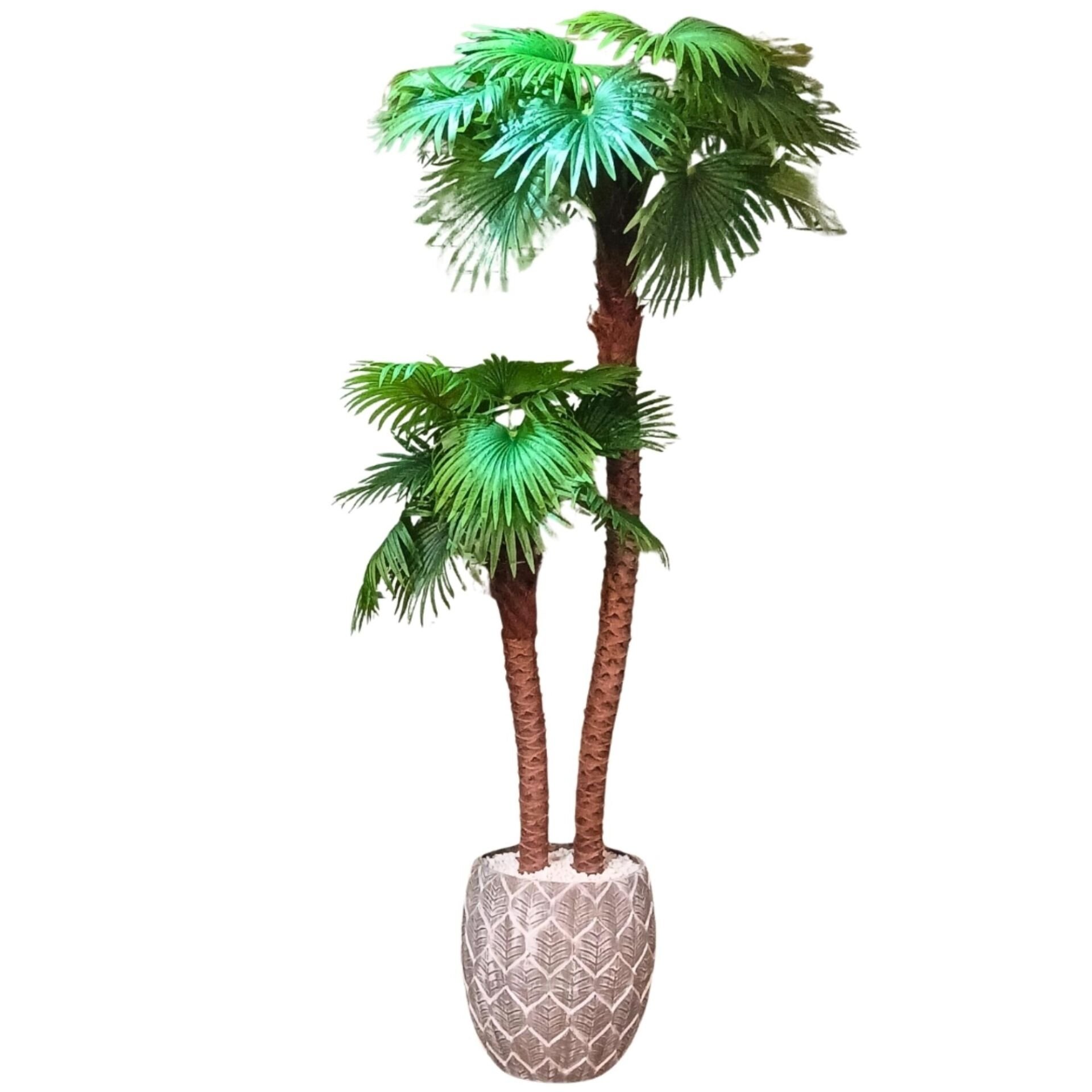 Palmiye Ağaç 150x260cm