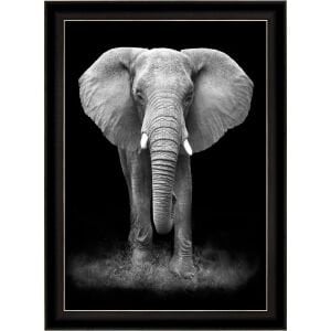 UV Siyah Fil Tablo 75x105cm