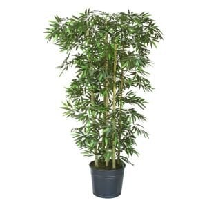 Bambu Ağacı 110x185cm