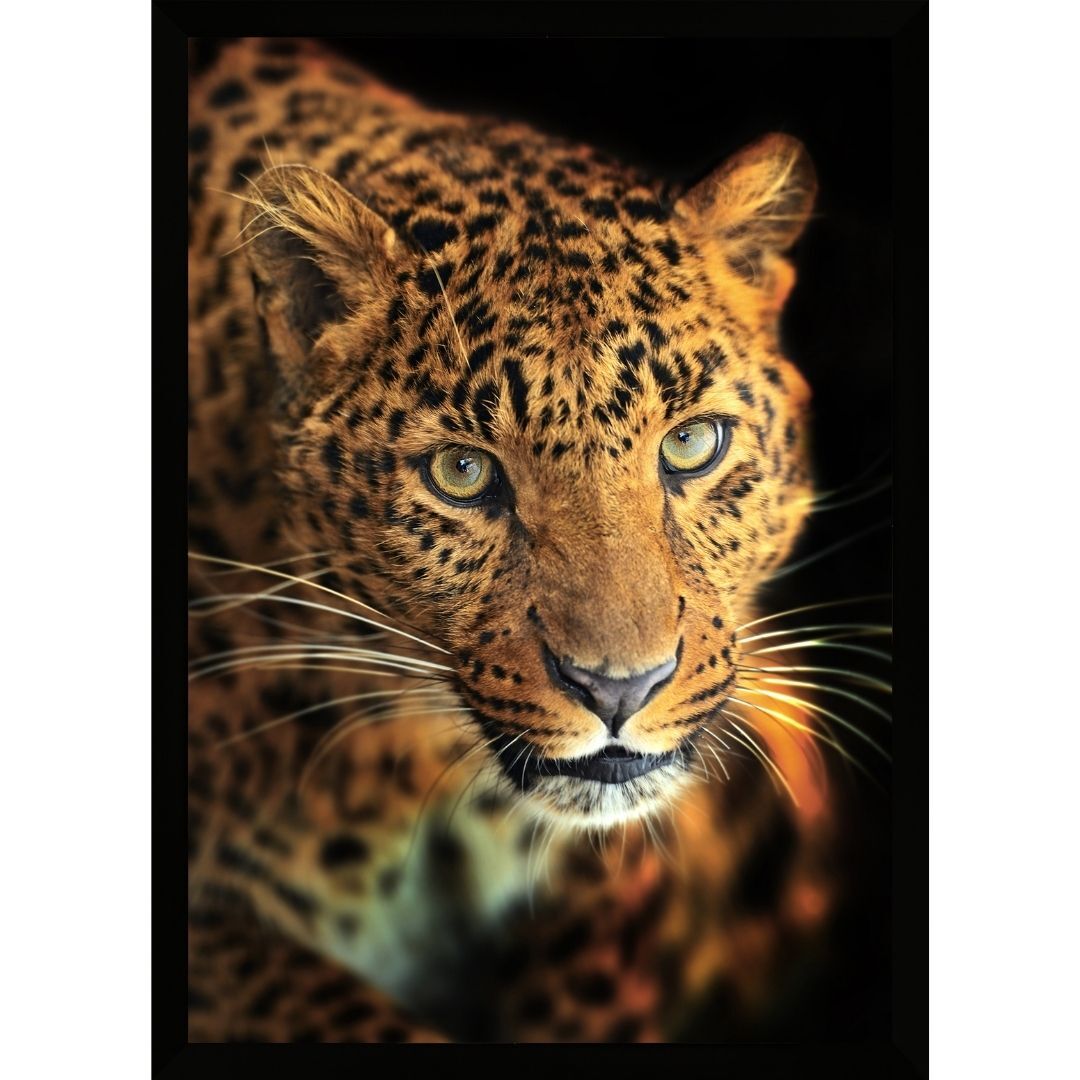 UV Leopar Tablo 75x105cm