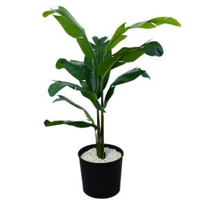 Muz Ağacı 105x150cm