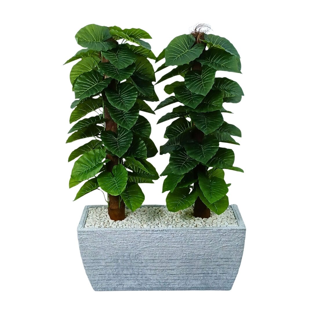 2li Arium Ağaç 76x125cm