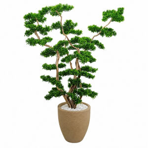Bonsai Ağaç 50x220cm