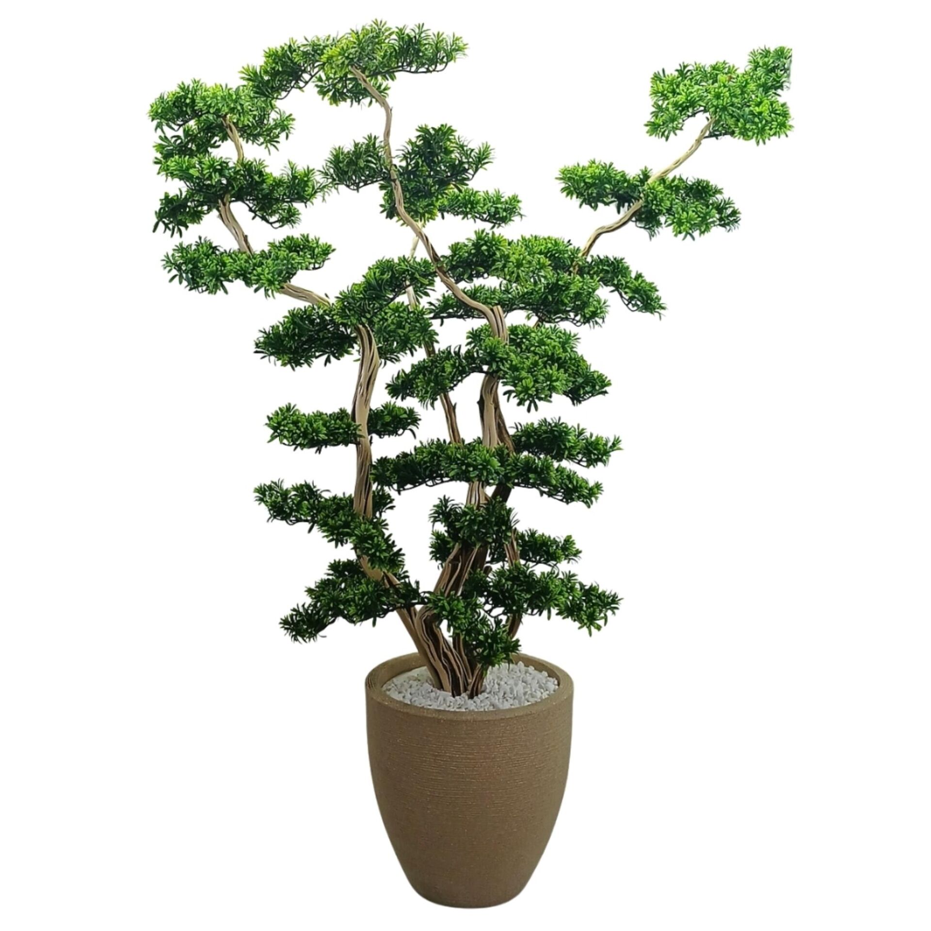Bonsai Ağaç 50x220cm
