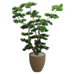 Bonsai Ağaç 50x220cm