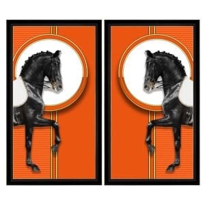 UV 2li Set Turuncu At Tablo 142x164cm