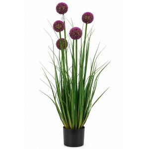Saksılı Sazlık 30x110 cm