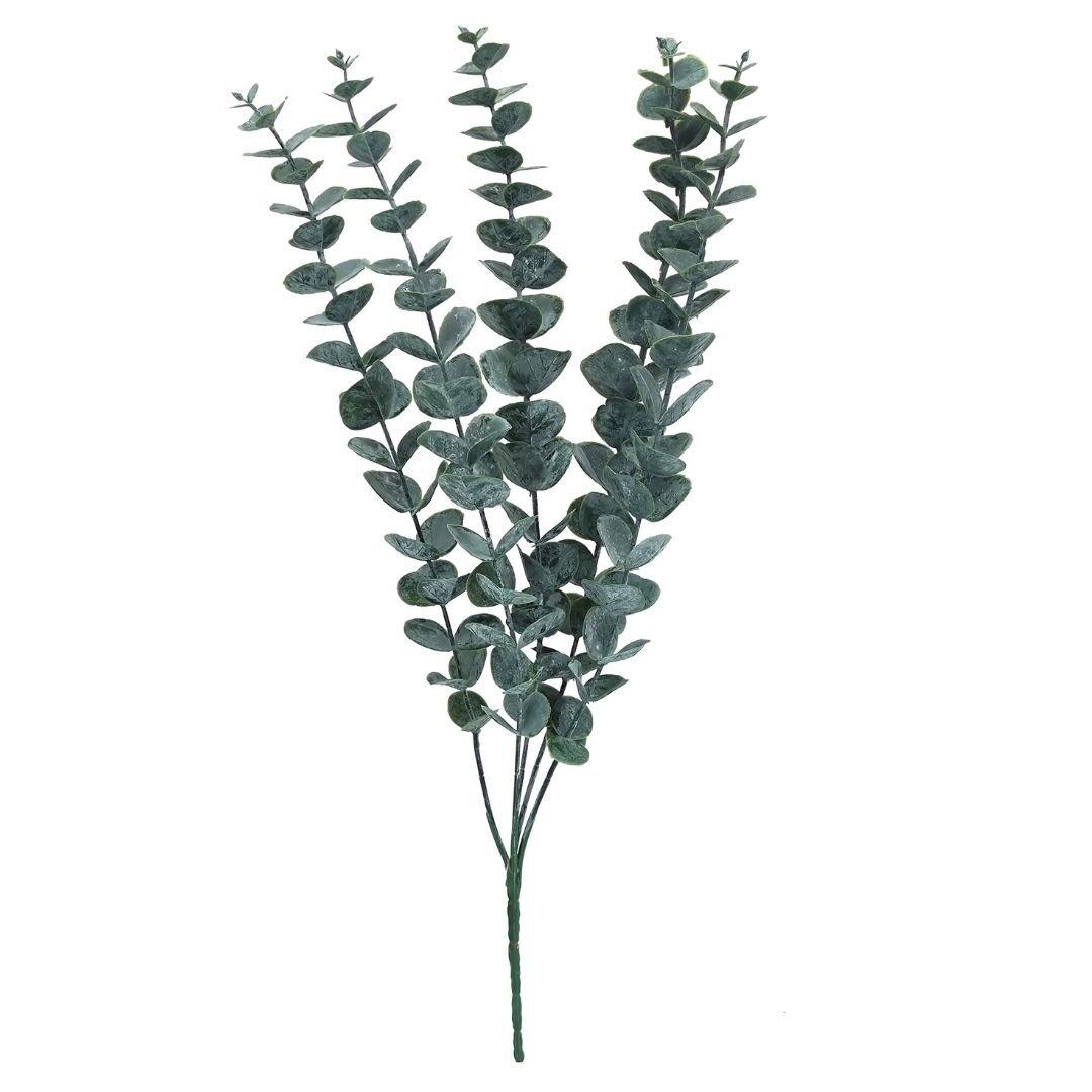 Okaliptus Demet 18x45cm