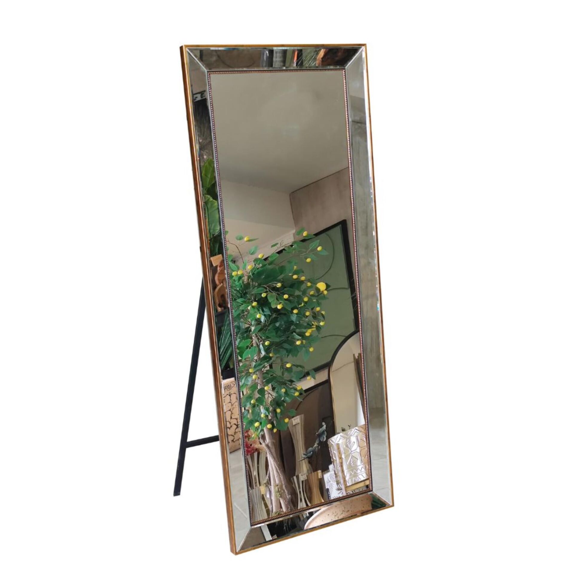 Ayaklı Ayna Altın 62x150cm