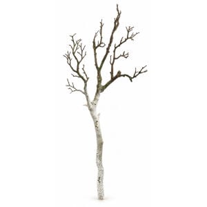 Doğal Ağaç Dalı 37x85cm