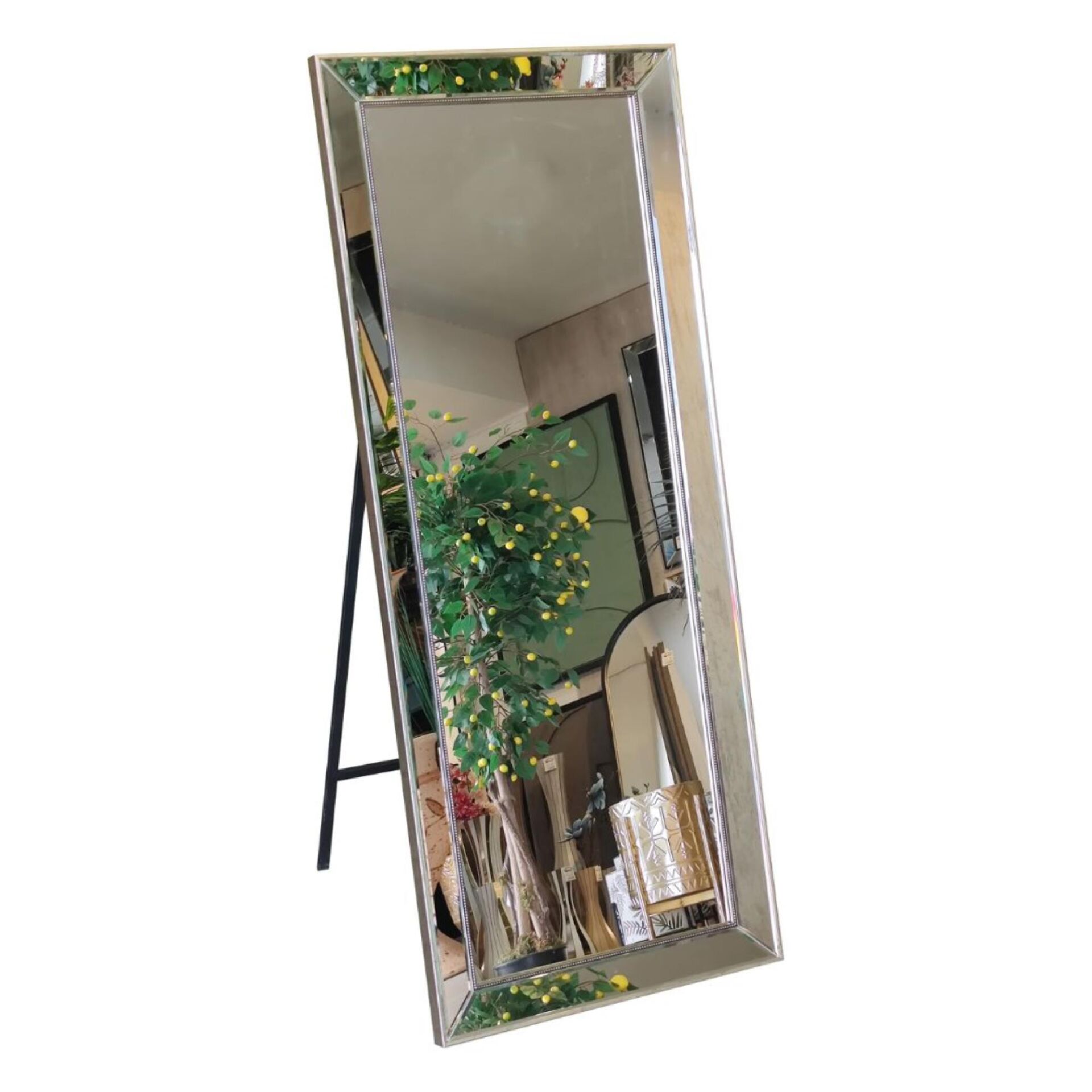 Ayaklı Ayna Gümüş 62x150cm