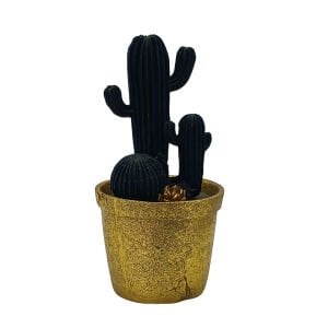 Saksılı Siyah Kaktüs 15x27cm