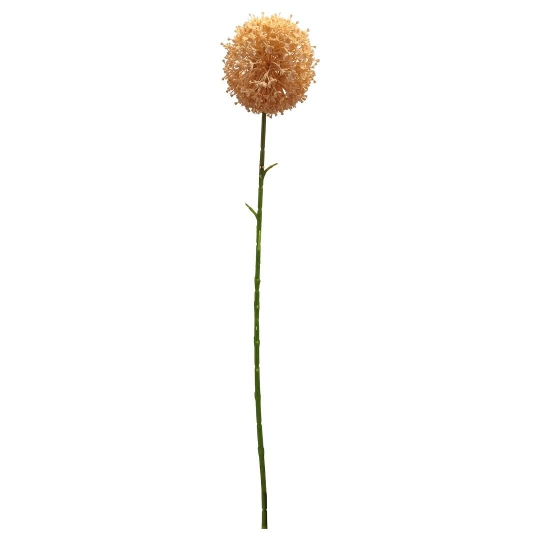 Bitki Çiçek Krem 12x74cm