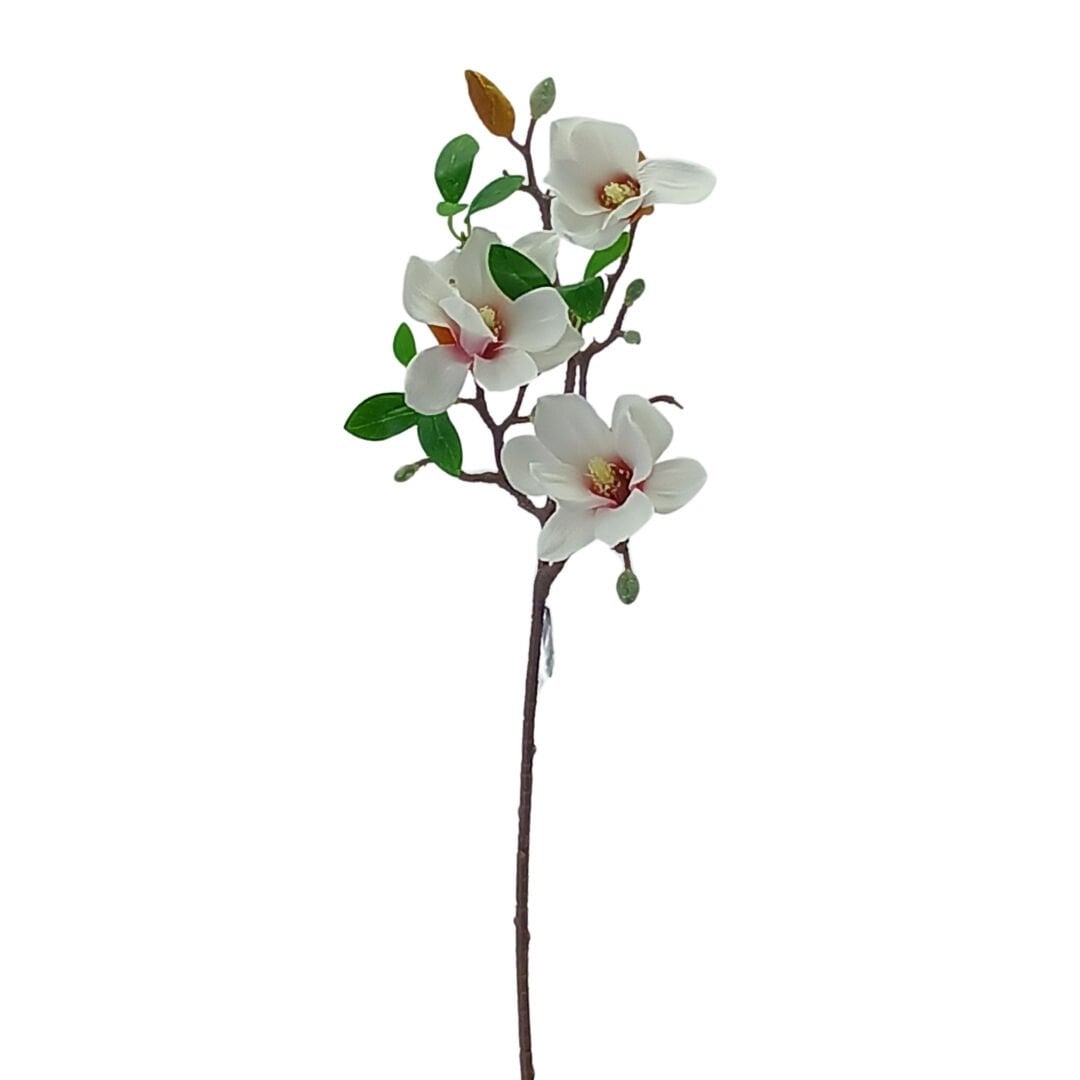 Manolya 65cm