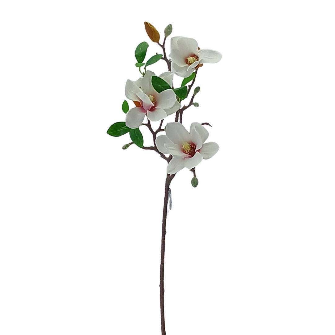 Manolya 65cm