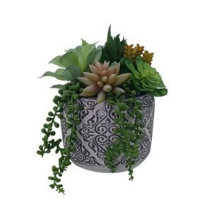 Saksılı Sukulent 19x19cm