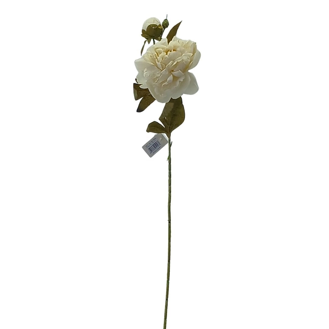 Şakayık Beyaz 73cm