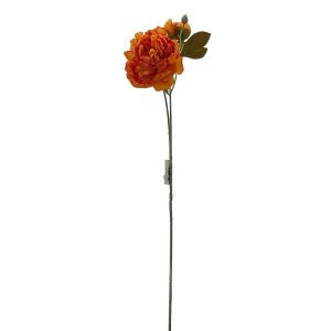 Şakayık Turuncu 73cm
