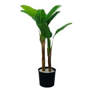 2li Muz Ağacı 95x170cm