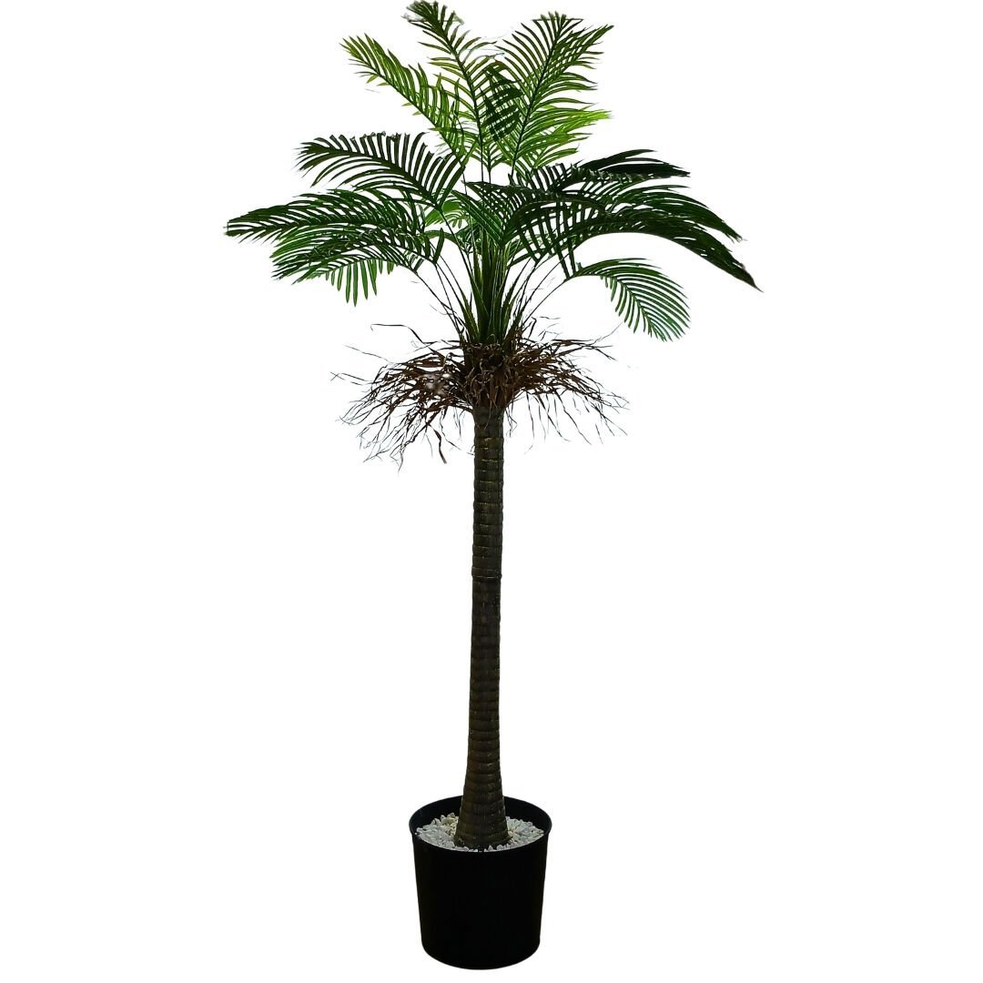 Palmiye Ağaç 130x230cm