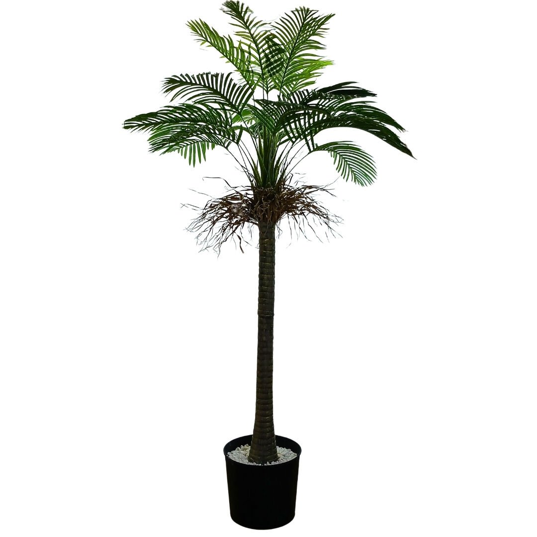 Palmiye Ağaç 130x230cm