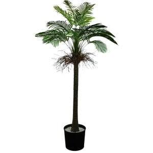 Palmiye Ağaç 130x230cm